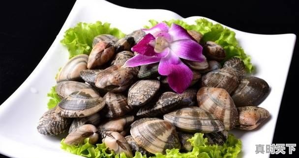 3、青岛鲍和福建鲍哪个好,福建鲍鱼今日价格 - 真时天下