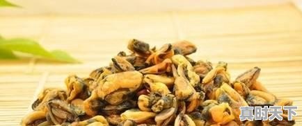 4、青岛鲍和福建鲍哪个好,福建鲍鱼今日价格 - 真时天下