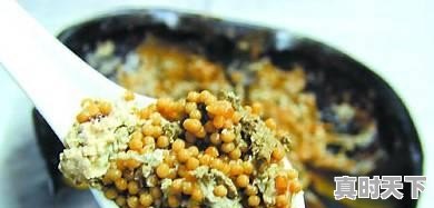 8、青岛鲍和福建鲍哪个好,福建鲍鱼今日价格 - 真时天下