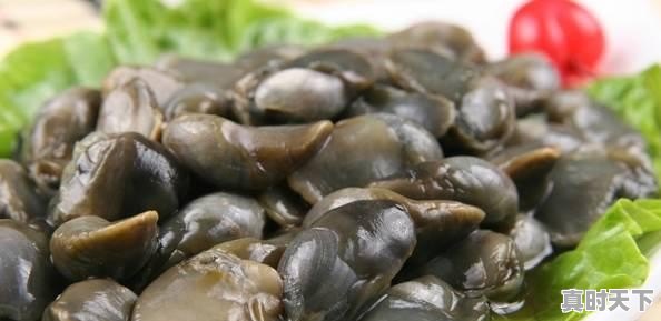 6、青岛鲍和福建鲍哪个好,福建鲍鱼今日价格 - 真时天下