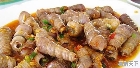 14、青岛鲍和福建鲍哪个好,福建鲍鱼今日价格 - 真时天下