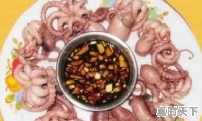 10、青岛鲍和福建鲍哪个好,福建鲍鱼今日价格 - 真时天下