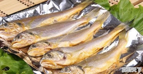 20、青岛鲍和福建鲍哪个好,福建鲍鱼今日价格 - 真时天下