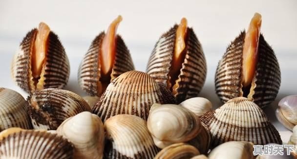 18、青岛鲍和福建鲍哪个好,福建鲍鱼今日价格 - 真时天下