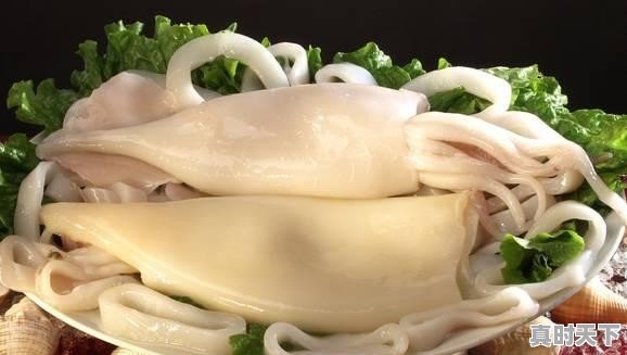 17、青岛鲍和福建鲍哪个好,福建鲍鱼今日价格 - 真时天下