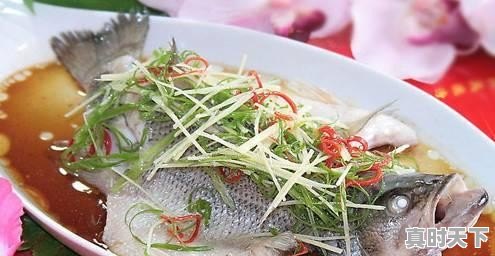 21、青岛鲍和福建鲍哪个好,福建鲍鱼今日价格 - 真时天下