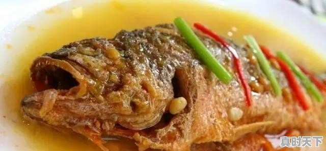 22、青岛鲍和福建鲍哪个好,福建鲍鱼今日价格 - 真时天下