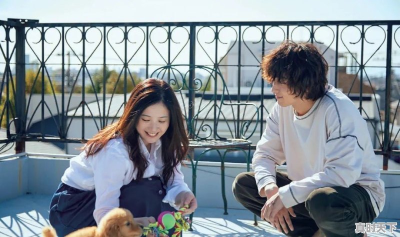 2、2020十部顶级欧美电影推荐,2020.最新电影 - 真时天下