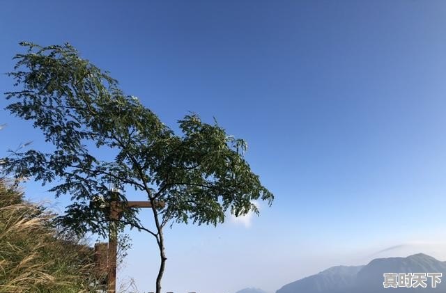 女生一个人出门旅行，适合去哪些地方_贵州黔东南天气 - 真时天下