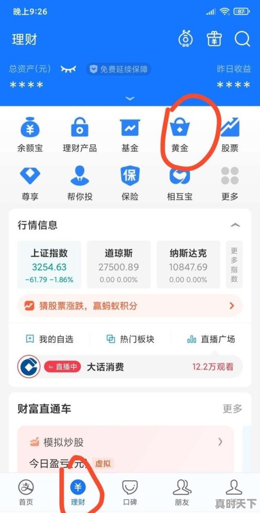 支付宝能买股票吗,支付宝怎么买入股票操作 - 真时天下