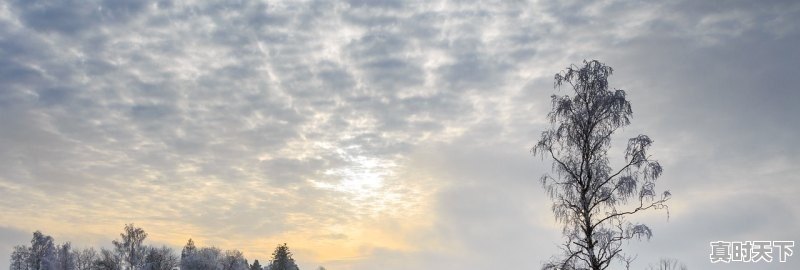 江阳区哪个地段限号不能走，泸州天气预警 - 真时天下