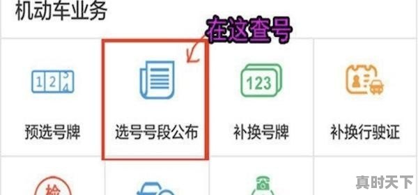 为什么科技创新需要人才_作为青年学生如何担当时代使命投身科技创新之中 - 真时天下