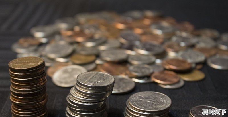 1、亚洲电影大奖含金量高吗_亚洲国际青年电影节含金量 - 真时天下