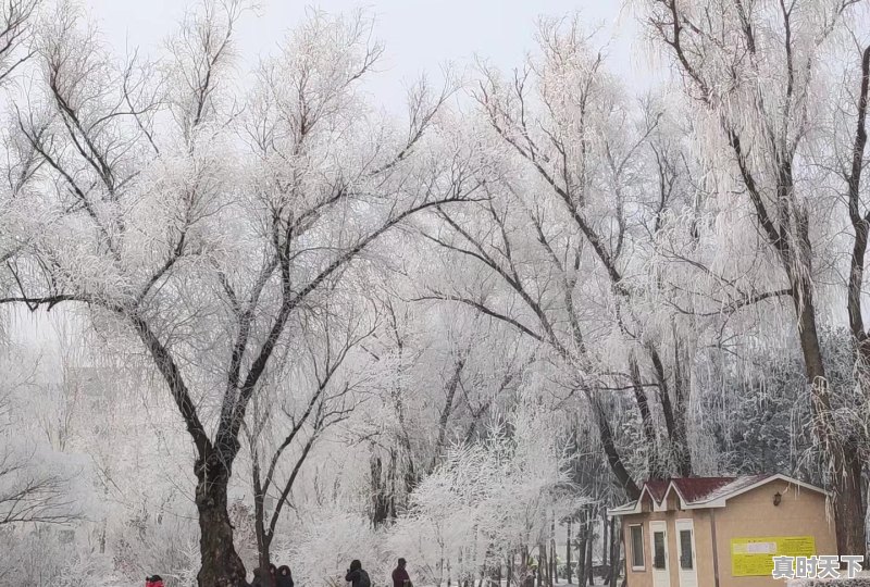 哈尔滨现在是什么天气？到几月份开始冷，东北哈尔滨天气 - 真时天下