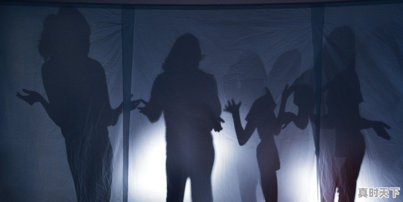 1、有哪些好看的穿越题材王爷主题漫画，求推,穿越王妃逆袭动漫推荐 - 真时天下