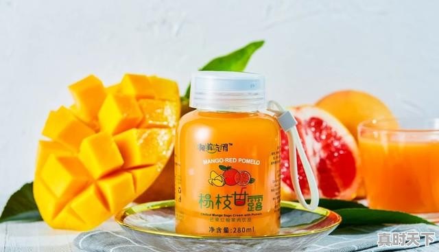 2、曹妃甸赶海8月份最佳去处_怎样带着宠物去旅行 - 真时天下