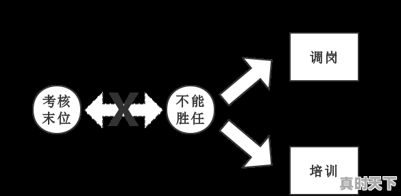 如何看待教师聘用中的末位淘汰制,科技创新人才末尾淘汰 - 真时天下