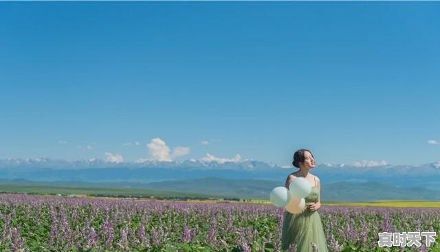 蒙特雷一年四季的气温，蒙特雷天气 - 真时天下