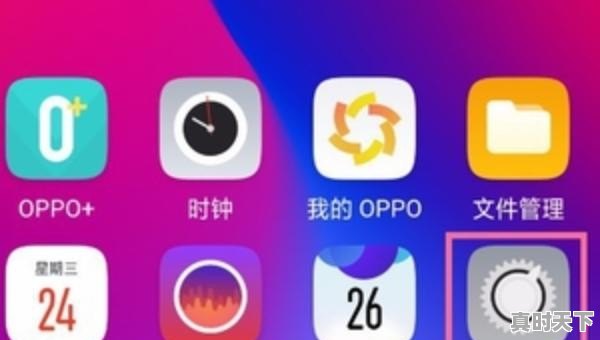 OPPO R17 Pro如何设置/取消应用（程序）加密_adobeacrobatpro如何解密 - 真时天下