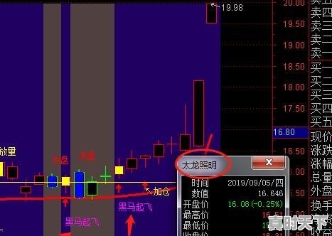 洛洛历险记。类型的小说,重生科幻修炼动漫推荐 - 真时天下