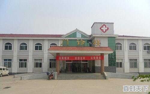 2、2021临沂生猪存栏,临沂费县生猪今日价格 - 真时天下