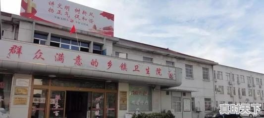 1、2021临沂生猪存栏,临沂费县生猪今日价格 - 真时天下