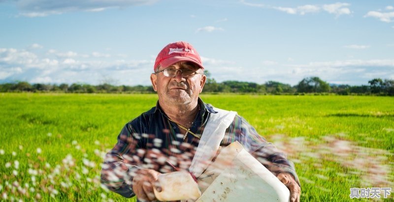 1、刘德华2023即将上映的十大电影，刘徳华最新电影有哪些电视剧 - 真时天下