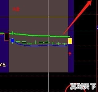 特斯拉股票历史最低多少,特斯拉股票代码价格 - 真时天下