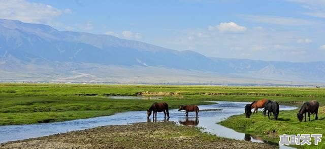 1、春夏秋冬四个季节特点,秋天的天气特征 - 真时天下