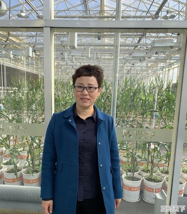 1、比亚迪市值虚高吗,比亚迪股票还能继续持有吗现在 - 真时天下