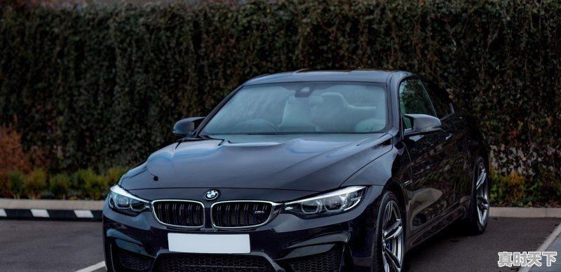 1、比亚迪A股股价历史高点是多少,比亚迪股票实时跟踪查询 - 真时天下