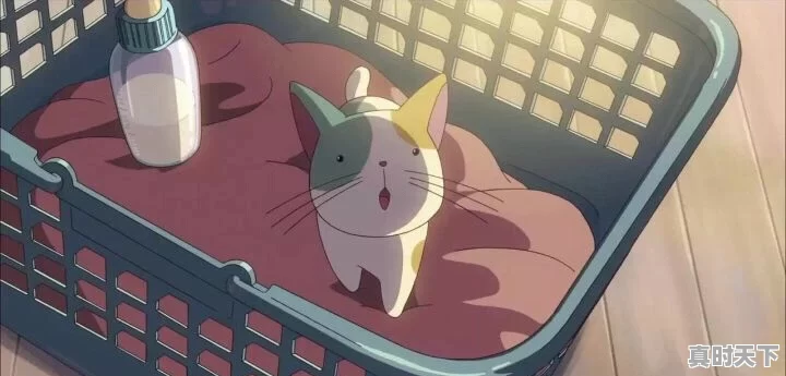 7、末世御灵师女主是谁,末世时期动漫推荐女主 - 真时天下