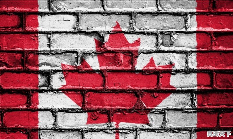 1、铜价多少钱一平方，今日t型铜价格 - 真时天下