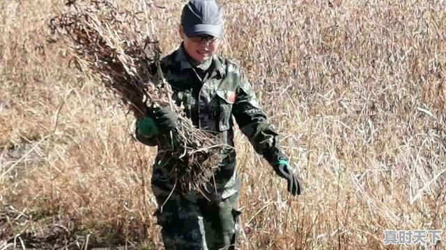 淮北小吃推荐,今日生猪价格安徽淮北 - 真时天下