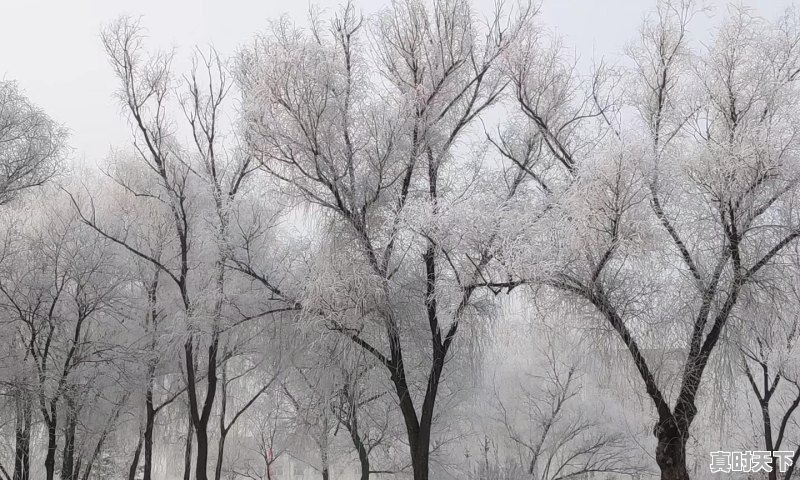 郑伊健的第一部电影叫什么名字，郑伊健最新电影叫什么名字来着 - 真时天下