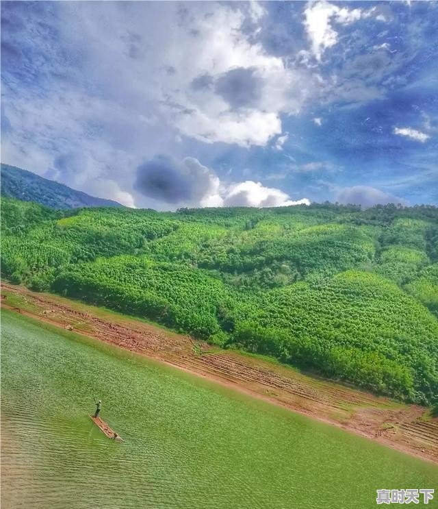 大家说去普洱旅游好不好呢,墨江县今日生猪价格 - 真时天下