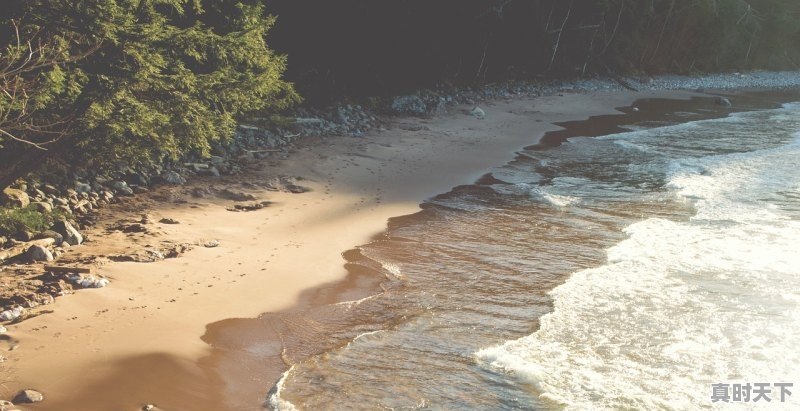 1、双流哪个地方有新车货车卖的_成都二手车交易市场最便宜的地方 - 真时天下