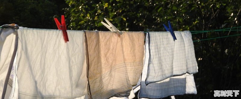 章子怡去戛纳了吗_章子怡为何没去国际电影节 - 真时天下