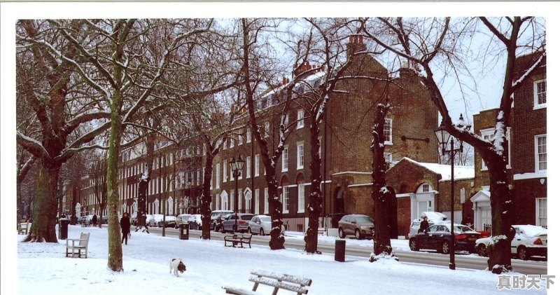 绿地集团在中国房地产排名,房地产股票排名 - 真时天下