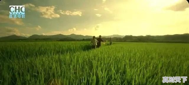 有什么电影里面风景特别好_哪些电影是在新西兰拍摄的 - 真时天下