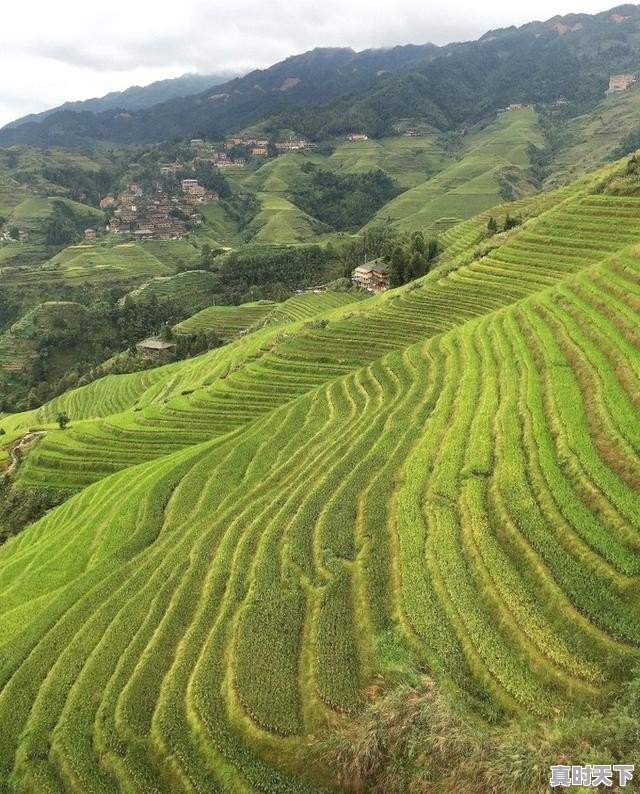 如何创新现代农业发展模式_2021农业科技博览会 - 真时天下