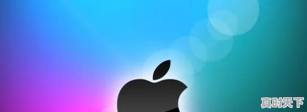 2021年底演艺圈的颁奖典礼有哪些,明星电影节颁奖典礼在哪看啊 - 真时天下