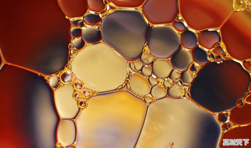 1股等于多少股分 - 真时天下