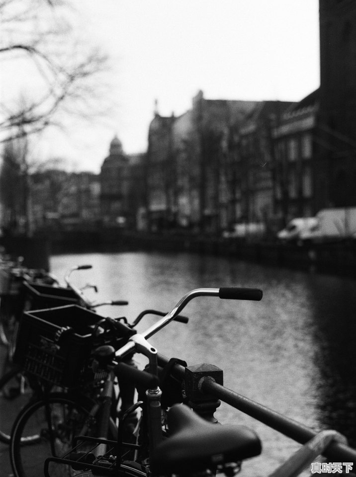 小罗伯特唐尼开车旅游是什么电影 - 真时天下