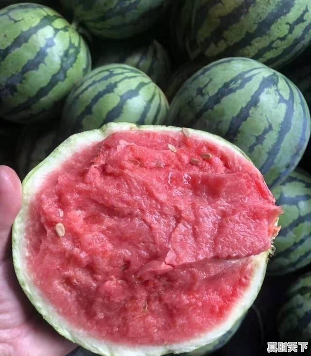 crv和途岳哪个保值 - 真时天下