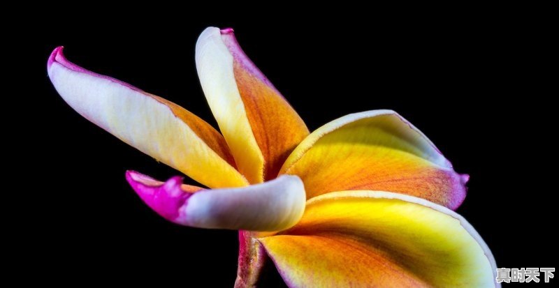 有什么好看的动漫关于妖怪的 - 真时天下