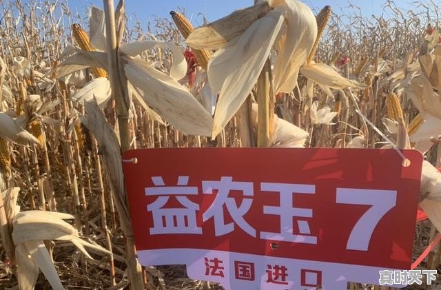 农业科技和农业科技发展有什么区别 - 真时天下