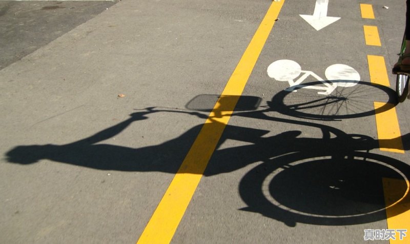 交通管理措施新思路 - 真时天下