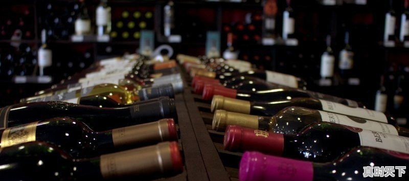 2O丨O年夏利N5质量怎么 - 真时天下