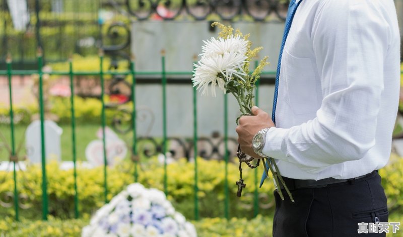 长春电影节肖战参加了吗 - 真时天下